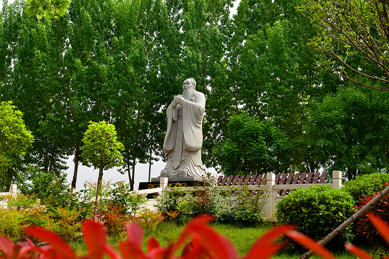 DSC_4782.JPG