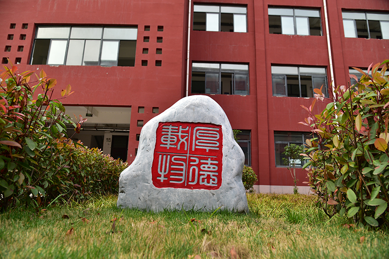 DSC_4917.JPG