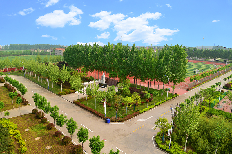 DSC_4858.JPG